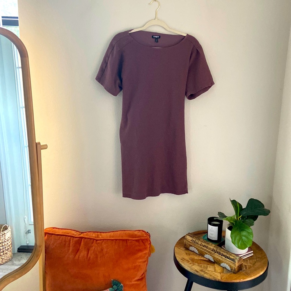 Express Plum Tie Dress